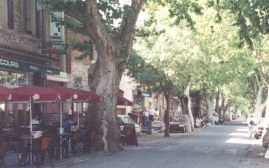 The Cours in the centre of St Didier